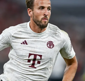 再创新高的 再创新高的